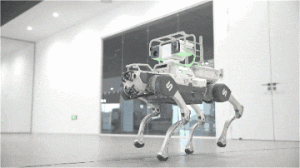 ��8ͷ�����(�й���½)-�ٷ���վ